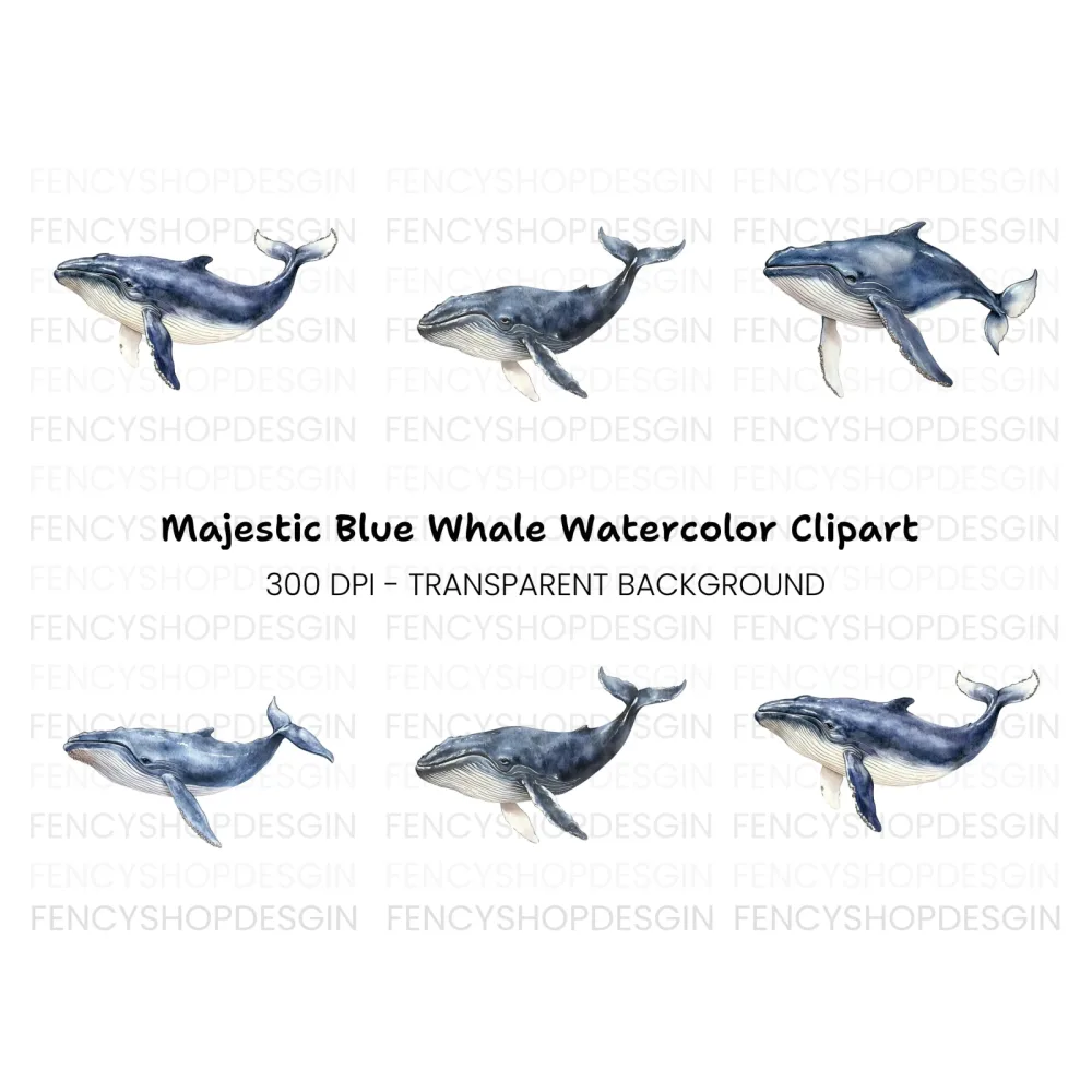 Blue Whale Clipart Bundle