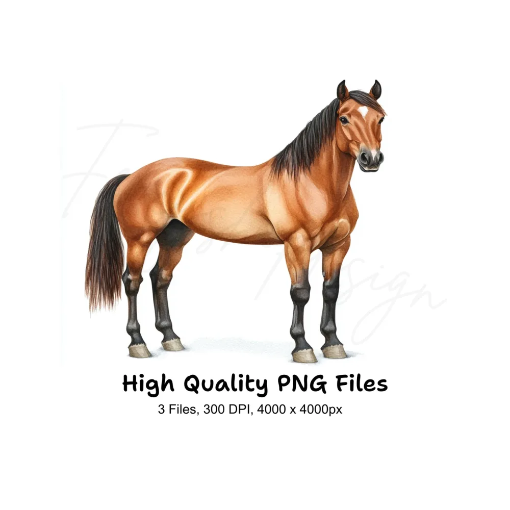 Realistic Brown Horse Clipart Bundle