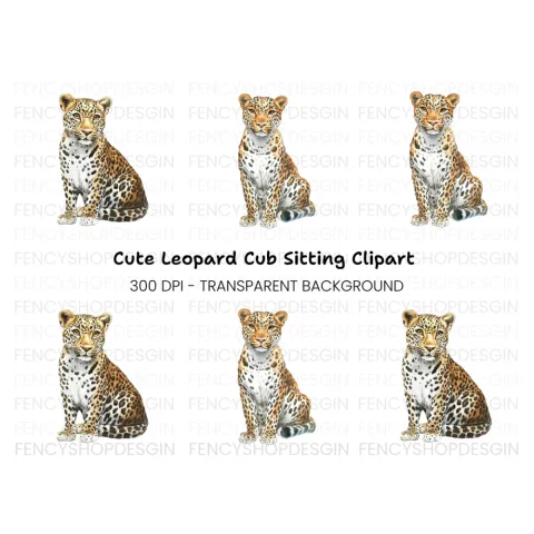 Sitting Leopard Clipart Bundle