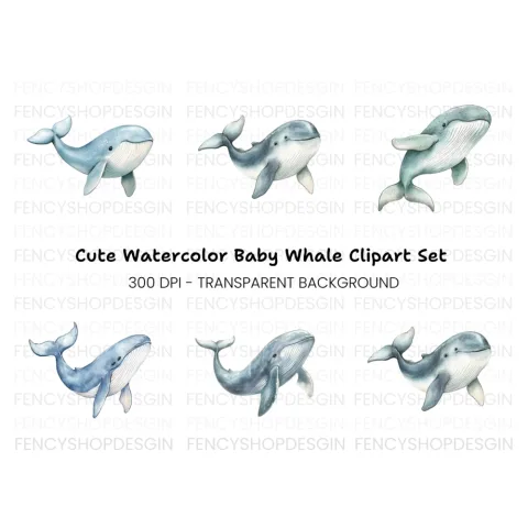 Cute Whale Clipart Bundle