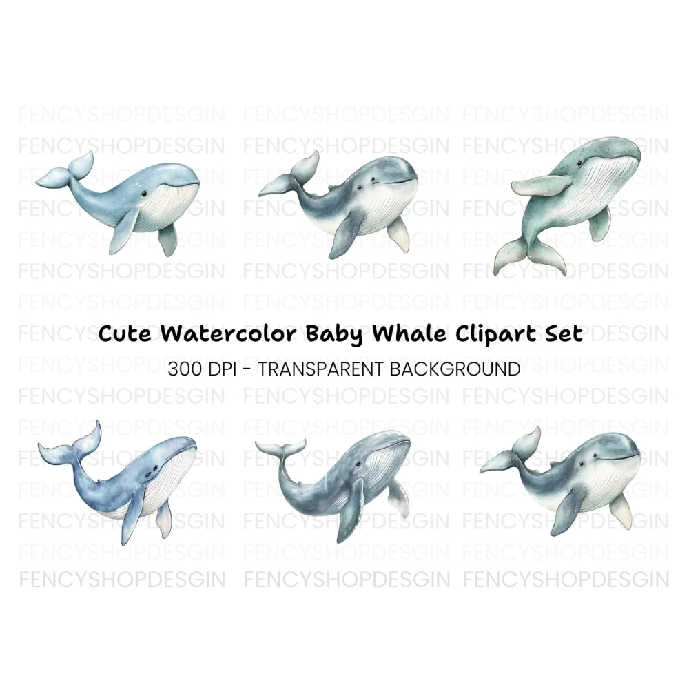 Cute Whale Clipart Bundle