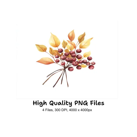 Autumn Berry Leaf Clipart Bundle