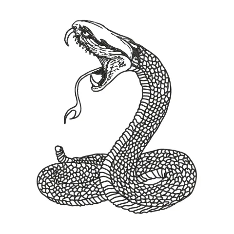 Anaconda Embroidery Design