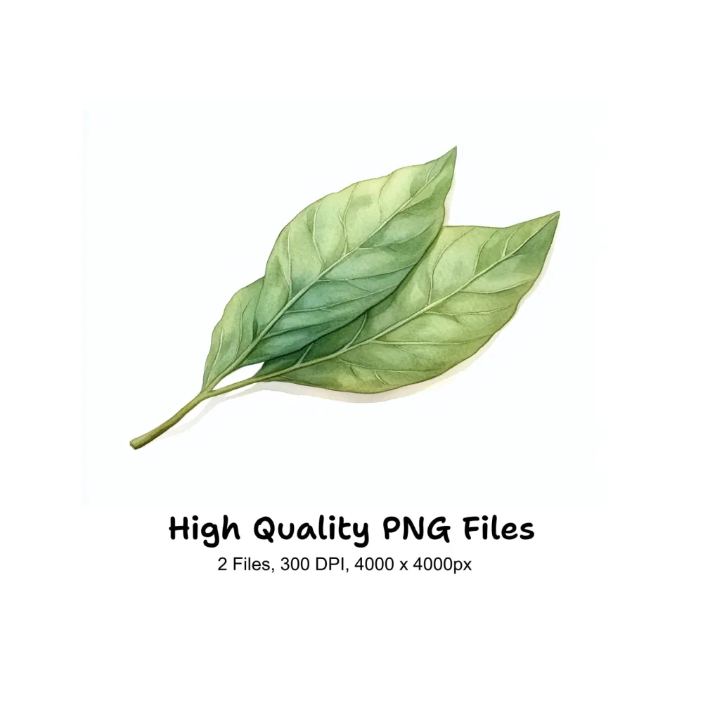 Fresh Green Leaf Illustrations Clipart Bundle