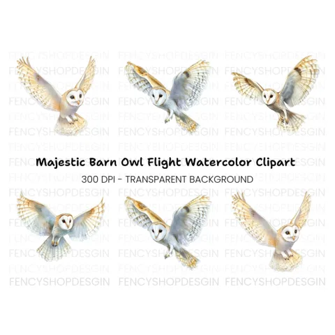 Flying Barn Owl Clipart Bundle