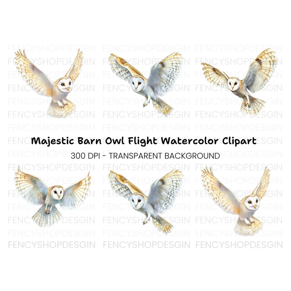 Flying Barn Owl Clipart Bundle