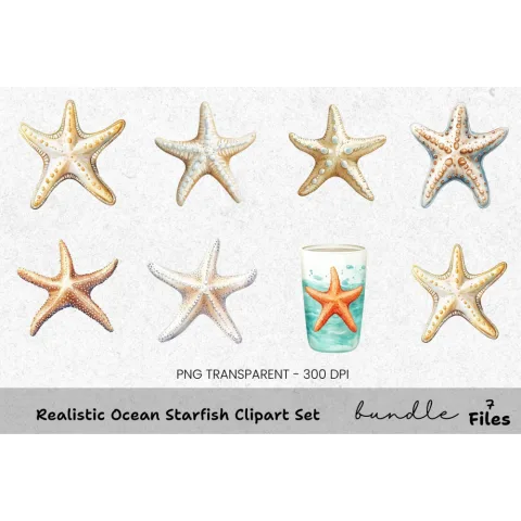 Realistic Ocean Starfish Clipart Bundle