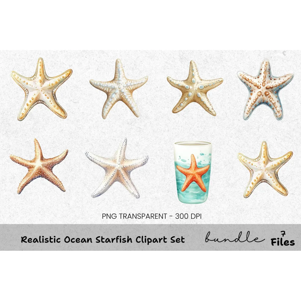 Realistic Ocean Starfish Clipart Bundle