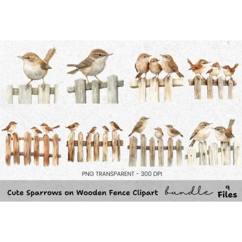 Cute Sparrows on Wooden Fence Clipart Bundle