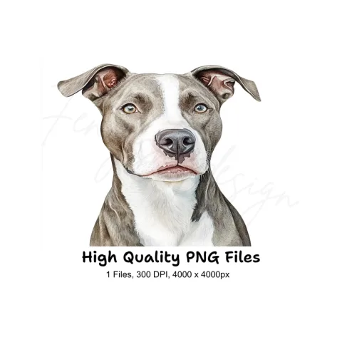 Blue Nose Pitbull Headshot Clipart Bundle
