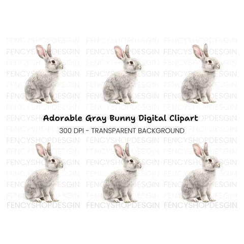 Adorable Grey Rabbit Clipart Bundle