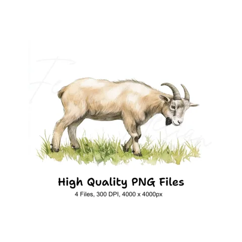 Goat Illustration Clipart Bundle