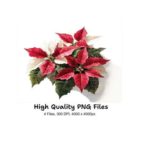 Poinsettia Clipart Bundle