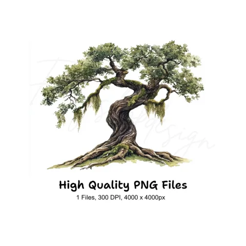 Ancient Oak Tree Clipart Bundle