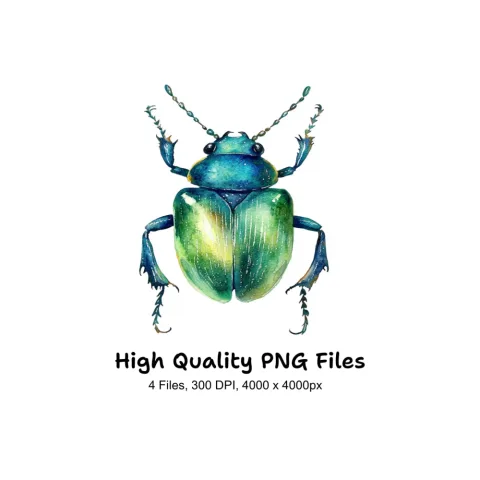 Shiny Green Beetle Clipart Bundle