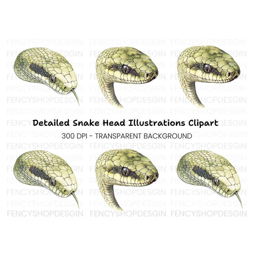 Detailed Snake Head Clipart Bundle