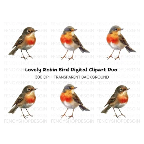 Charming Robin Bird Clipart Bundle