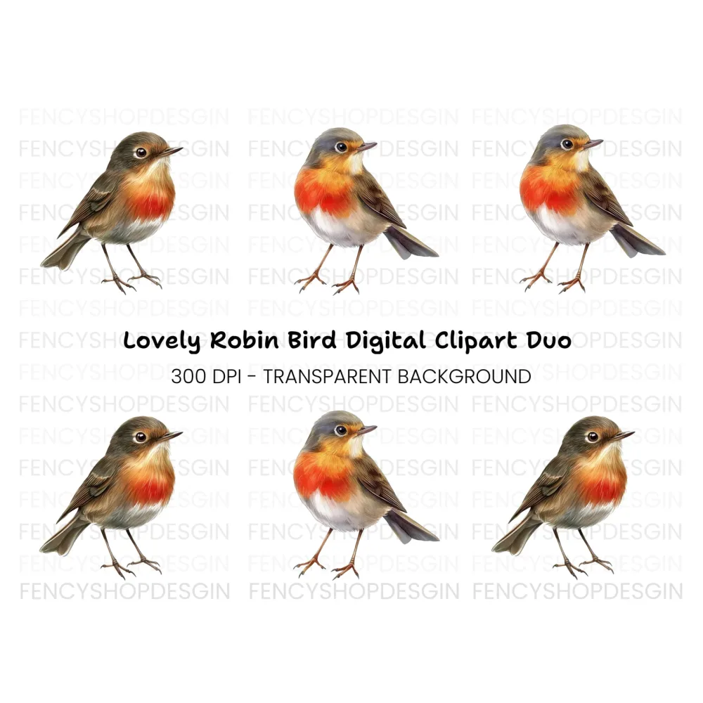 Charming Robin Bird Clipart Bundle