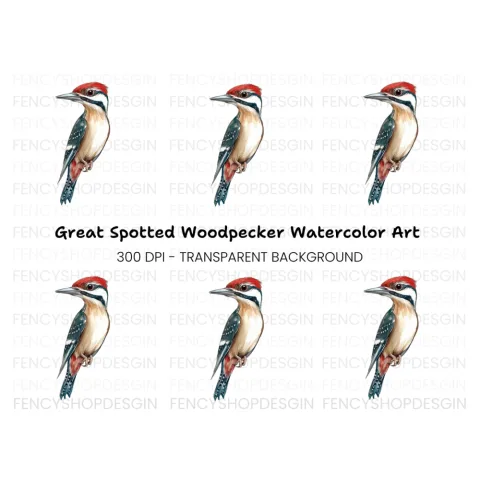 Vibrant Woodpecker Clipart Bundle