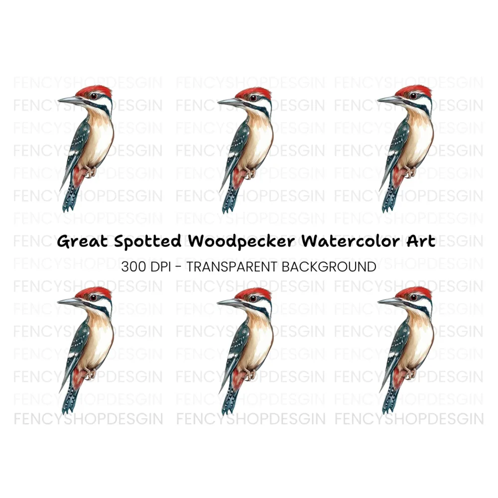 Vibrant Woodpecker Clipart Bundle
