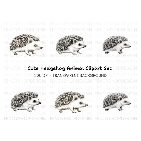 Cute Hedgehog Clipart Bundle