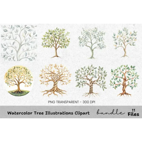 Tree Illustrations Clipart Bundle