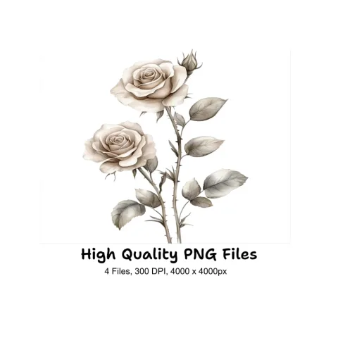 Rose Clipart Bundle