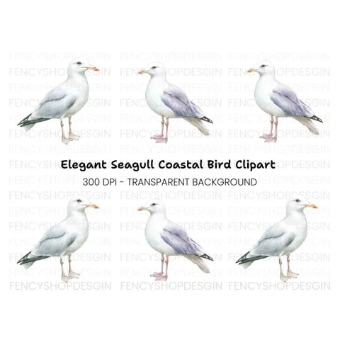 Graceful Seagull Clipart Bundle