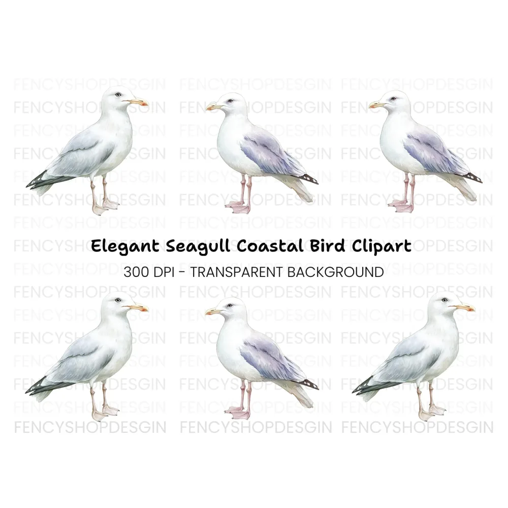 Graceful Seagull Clipart Bundle