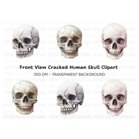 Skull Clipart Bundle