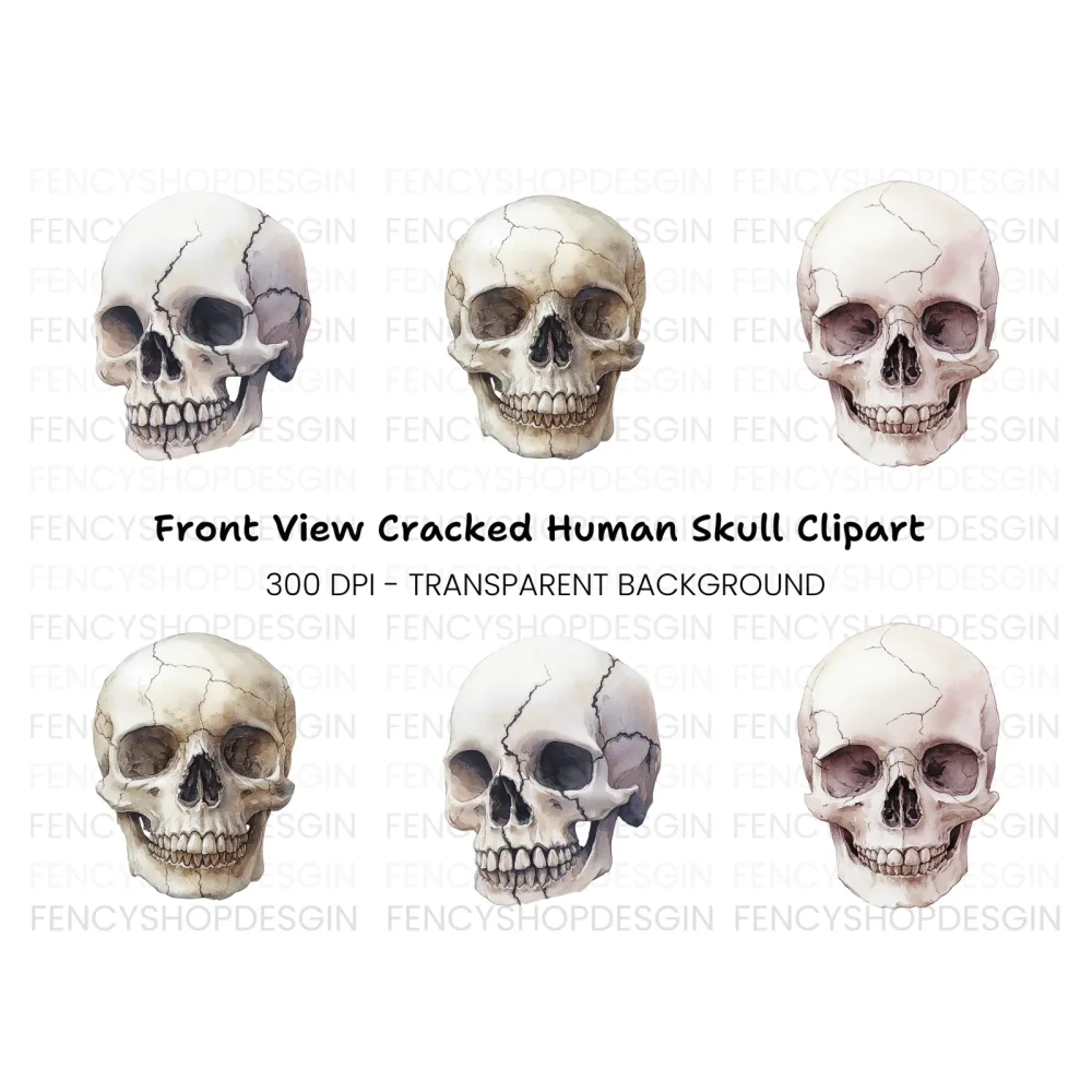 Skull Clipart Bundle