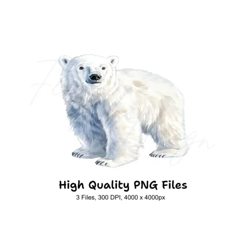 Realistic Standing Polar Bear Clipart Bundle