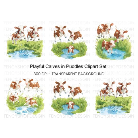 Playful Calves in Water Clipart Bundle