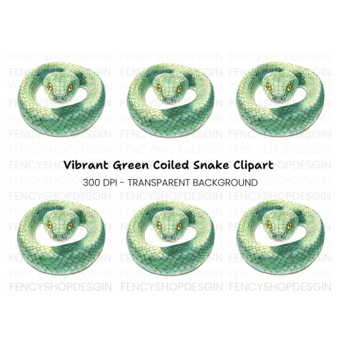 Green Snake with Yellow Eyes Clipart Bundle