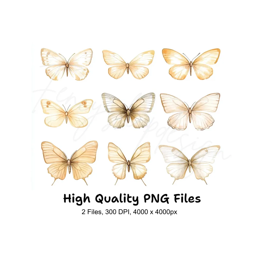 Elegant Butterfly Clipart Bundle