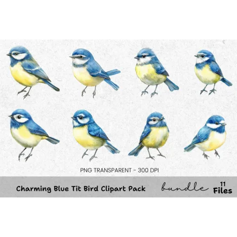 Charming Blue Tit Bird Clipart Bundle