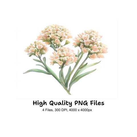 Elegant Flower Bouquets Clipart Bundle