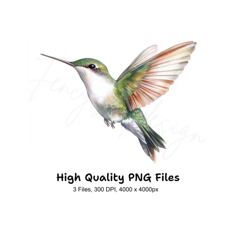 Hummingbird Clipart Bundle