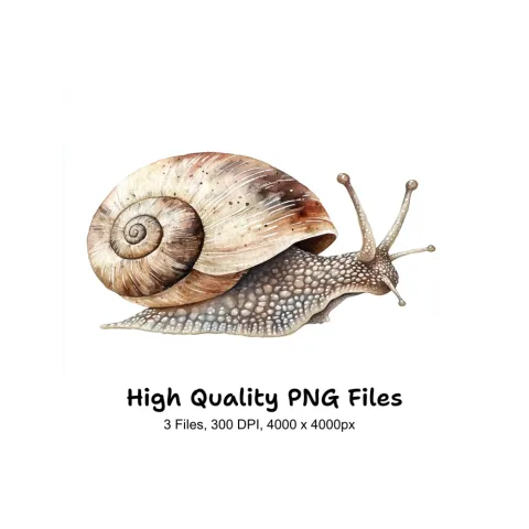 Realistic Snail Clipart Bundle