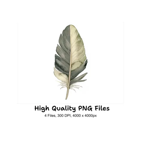 Feathers Clipart Bundle