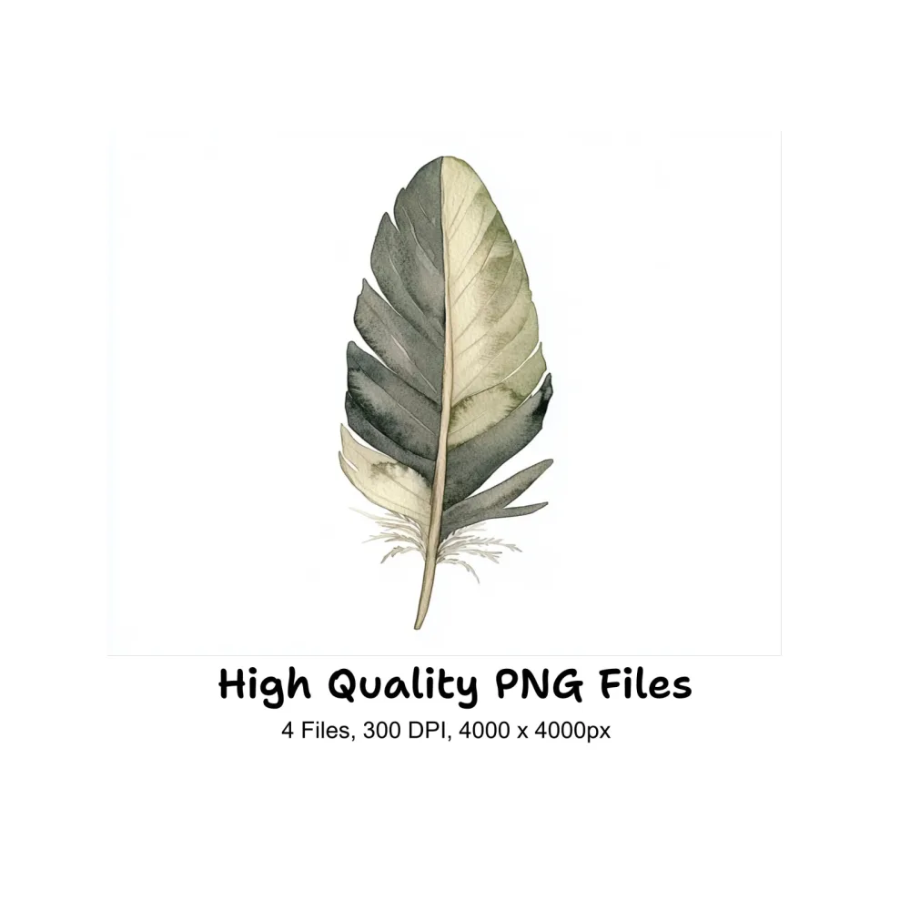 Feathers Clipart Bundle