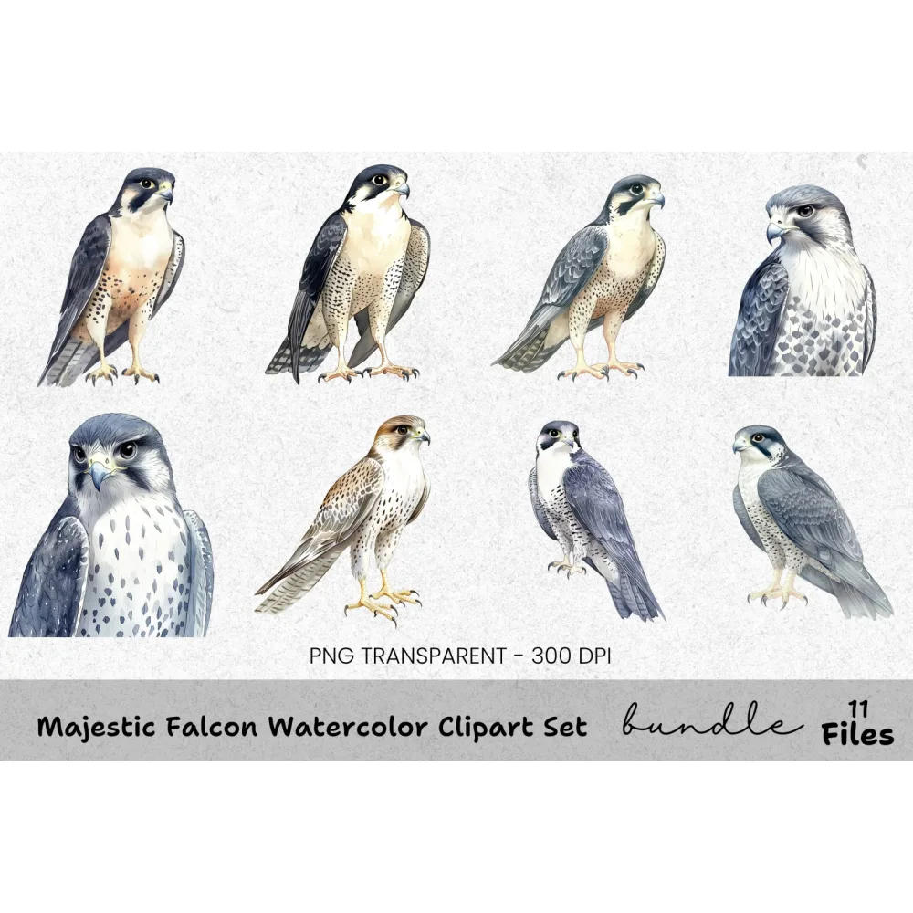 Majestic Falcon Clipart Bundle