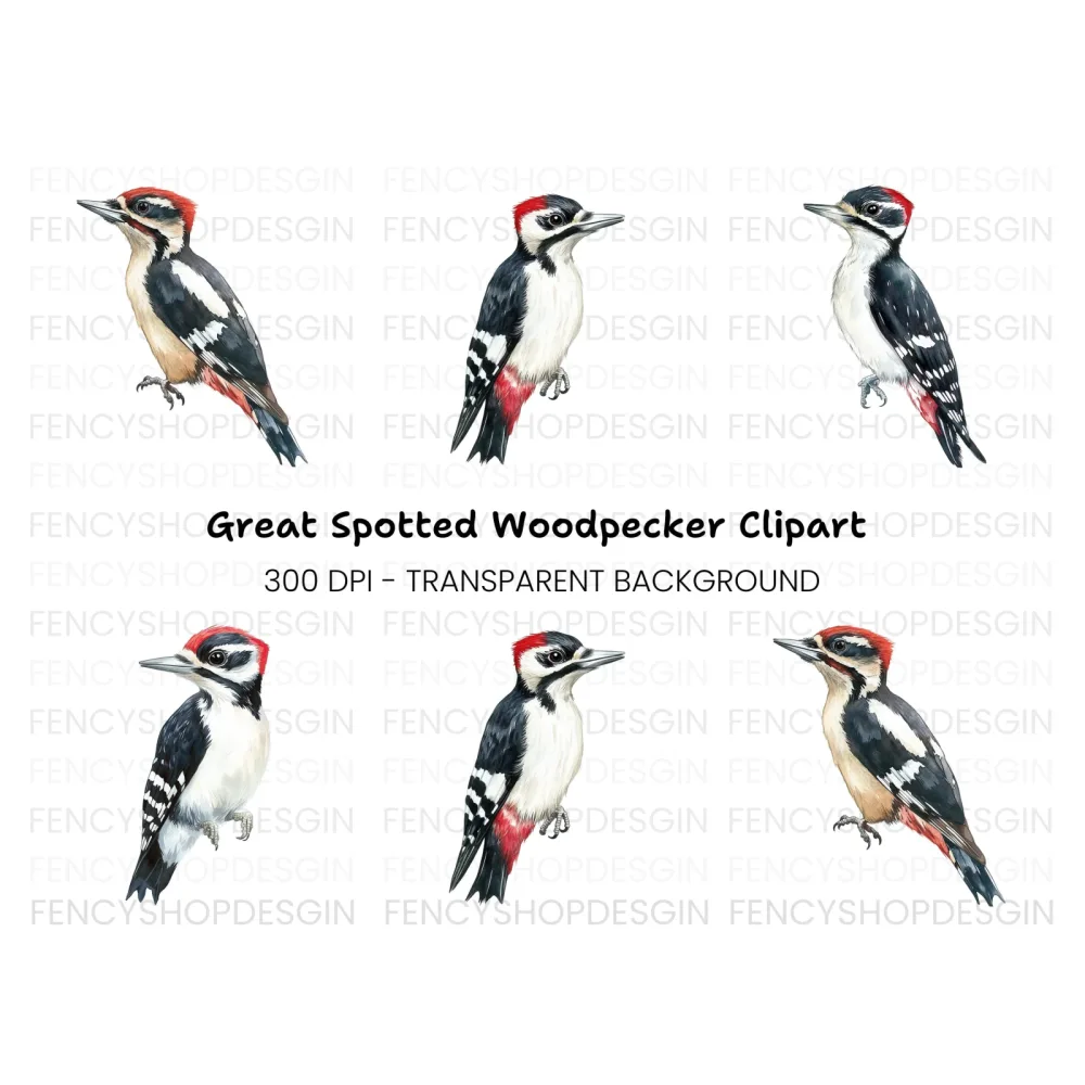 Woodpecker Clipart Bundle