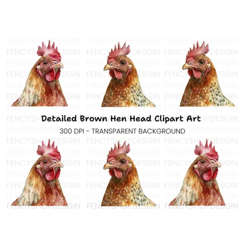 Realistic Brown Chicken Head Clipart Bundle