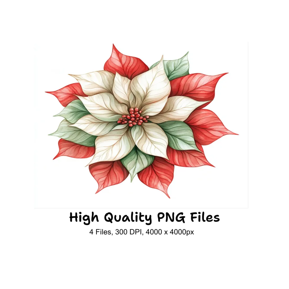 Poinsettia Christmas Flower Clipart Bundle