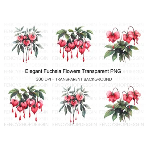Fuchsia Flower Clipart Bundle
