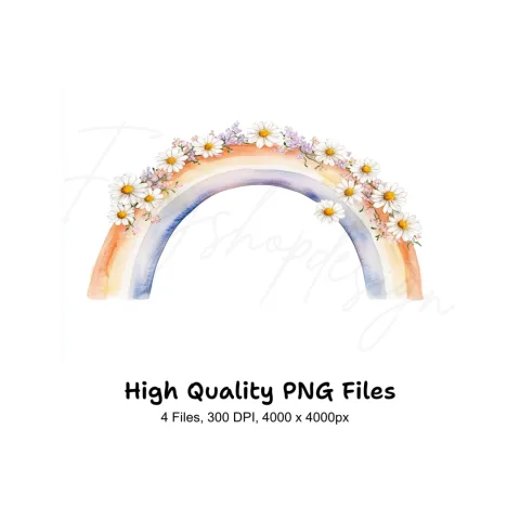 Daisy Rainbow Clipart Bundle