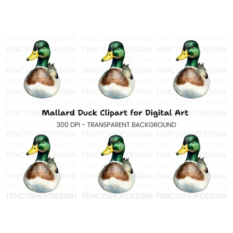 Front View Mallard Duck Clipart Bundle