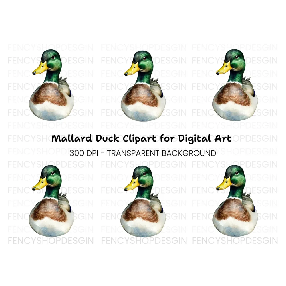 Front View Mallard Duck Clipart Bundle