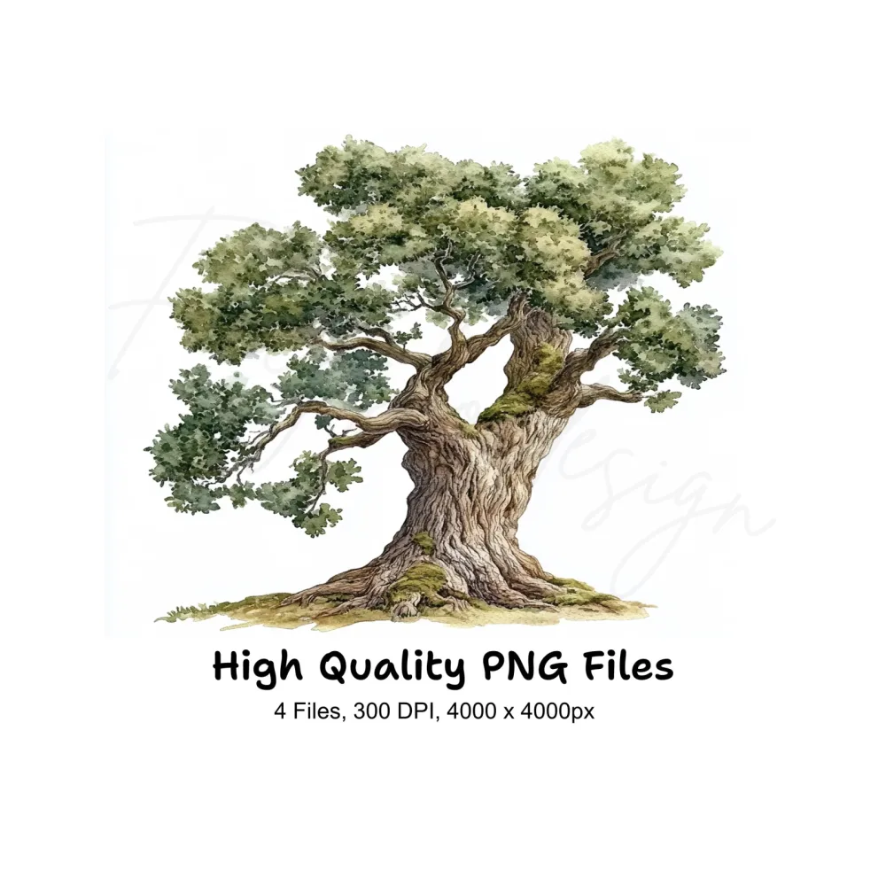 Oak Tree Clipart Bundle